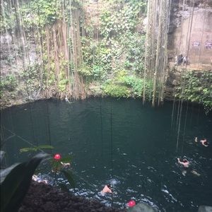 Meet your Posher, Mallory